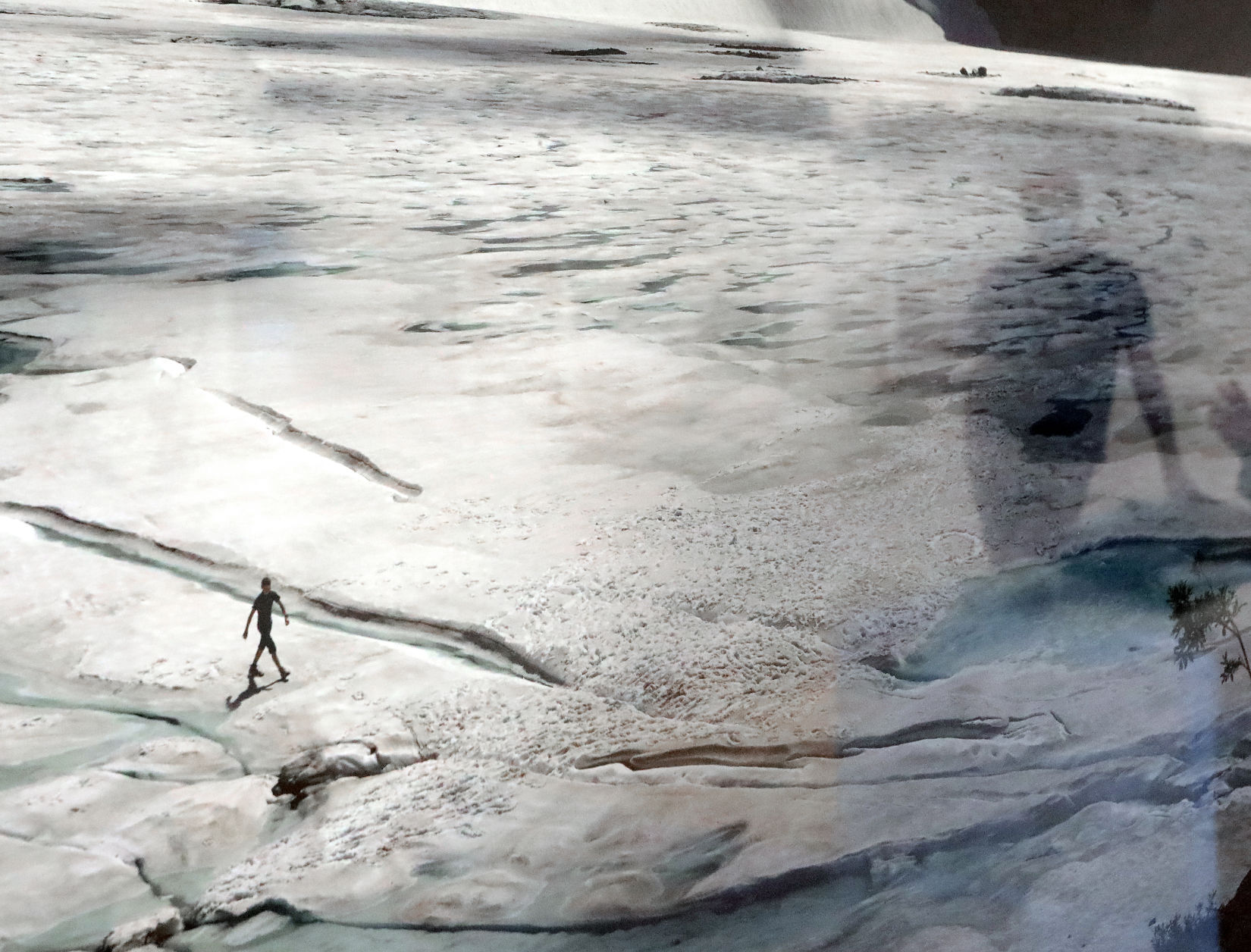 Detail of photo by Ian van Coller